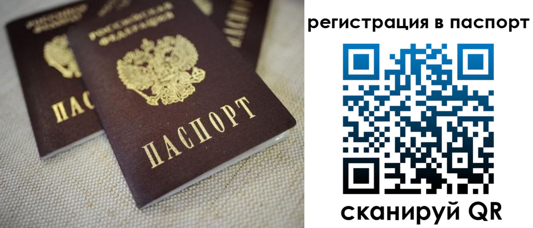 прописка гарантия в Новотроицке